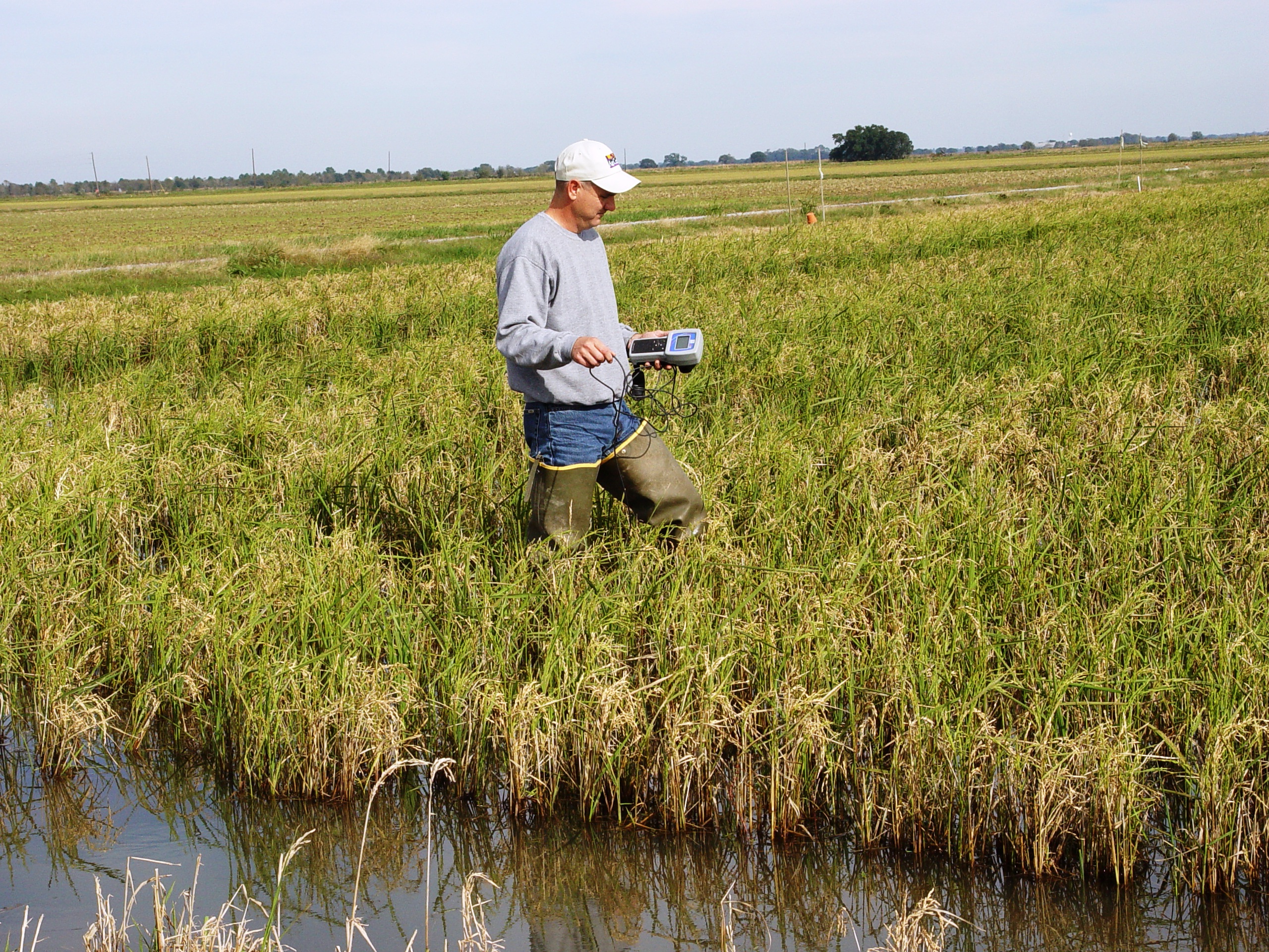 Best Management Practices for Crawfish Aquaculture